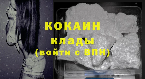 мяу мяу мука Баксан