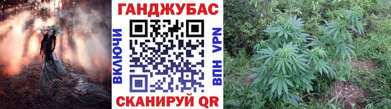 кракен tor  Мценск  Бошки марихуана SATIVA & INDICA 